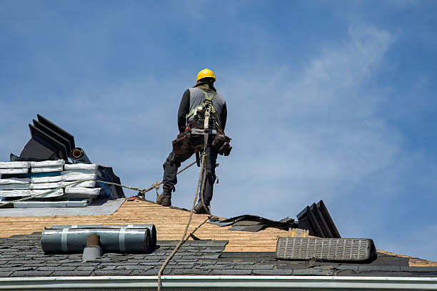 Professional Roof Replacement technician working in Lostant, IL